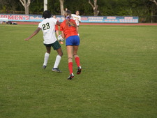 Enlarge photo 355