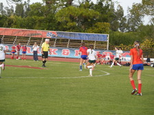 Enlarge photo 376