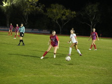 Enlarge photo 233