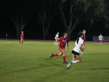 Enlarge photo 44