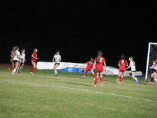 Enlarge photo 264