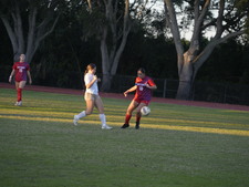Enlarge photo 55