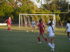 Enlarge photo 154