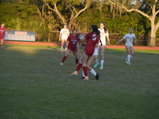 Enlarge photo 166