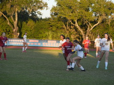Enlarge photo 172