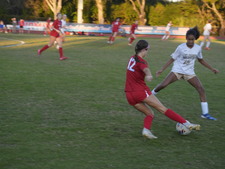 Enlarge photo 232