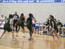 Enlarge photo 135