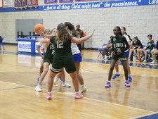Enlarge photo 259