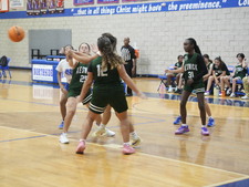 Enlarge photo 260