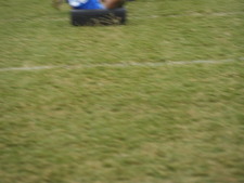 Enlarge photo 202