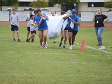 Enlarge photo 338