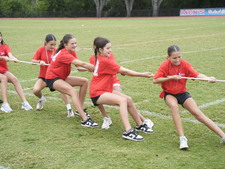 Enlarge photo 154
