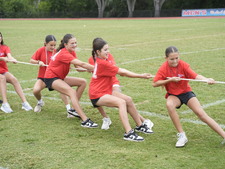 Enlarge photo 156