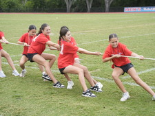 Enlarge photo 155