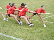 Enlarge photo 177