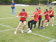 Enlarge photo 182
