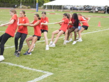 Enlarge photo 196