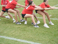 Enlarge photo 210