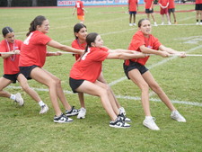 Enlarge photo 212
