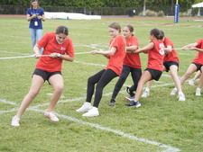 Enlarge photo 229