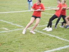 Enlarge photo 231