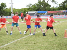 Enlarge photo 248