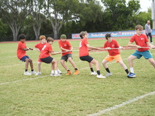 Enlarge photo 253