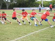 Enlarge photo 259