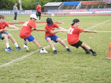 Enlarge photo 261