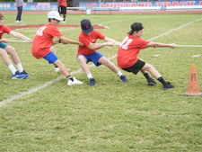 Enlarge photo 262