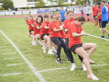 Enlarge photo 482