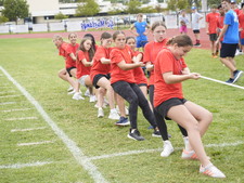 Enlarge photo 481