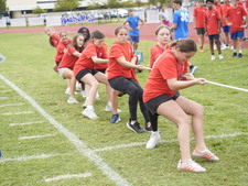 Enlarge photo 484