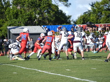 Enlarge photo 97