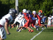 Enlarge photo 419