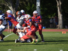 Enlarge photo 527