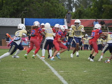 Enlarge photo 52