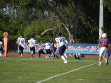 Enlarge photo 82