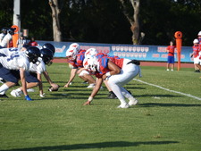 Enlarge photo 158