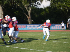 Enlarge photo 354