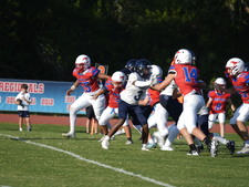 Enlarge photo 449