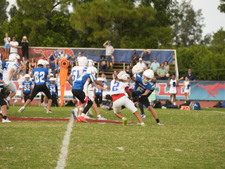 Enlarge photo 97
