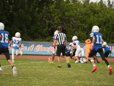 Enlarge photo 200