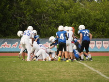 Enlarge photo 219