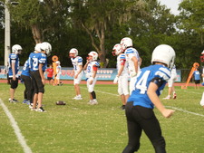 Enlarge photo 241