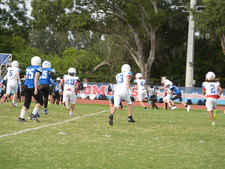 Enlarge photo 278