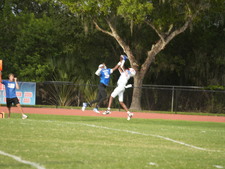 Enlarge photo 340