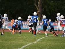 Enlarge photo 432