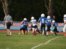Enlarge photo 434