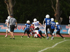 Enlarge photo 435